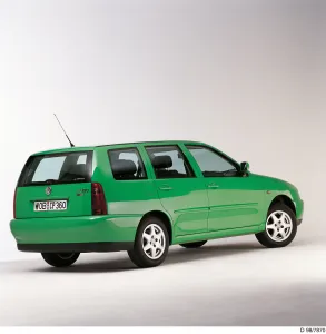 Polo Variant